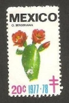 Stamps Mexico -  flora, o. bergeriana