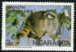 Sellos de America - Nicaragua -  Mapache