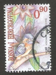 Stamps Bosnia Herzegovina -  ave, alcedo atthis, martín pescador