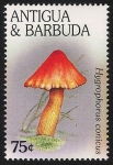 Sellos de America - Antigua y Barbuda -  SETAS-HONGOS: 1.105.053,00-Hygrophorus  conicus