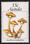 Sellos de Oceania - Australia -  SETAS-HONGOS: 1.108.003,00-Armillaria luteobubalina - 