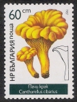 Sellos del Mundo : Europe : Bulgaria : SETAS-HONGOS: 1.120.026,00-Cantharellus cibarius