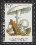 Sellos del Mundo : Europe : Bulgaria : SETAS-HONGOS: 1.120.032,00-Amanita verna