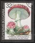 Sellos del Mundo : Europe : Bulgaria : SETAS-HONGOS: 1.120.034,00-Amanita muscaria