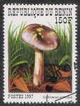 Sellos de Africa - Benin -  SETAS-HONGOS: 1.114.022,00-Cortinarius collinitus - 