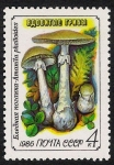 Sellos de Europa - Rusia -  SETAS:231.220  Amanita phalloides