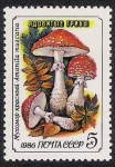 Sellos de Europa - Rusia -  SETAS:231.221  Amanita muscaria