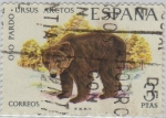 Stamps Spain -  fauna iberica-Oso pardo-1971