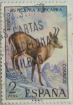 Stamps Spain -  fauna hispanica-Rebeco-1972