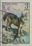 Sellos de Europa - Espa�a -  fauna hispanica-Lobo-1972