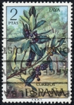 Stamps Spain -  Flora