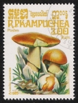 Sellos de Asia - Camboya -  SETAS-HONGOS: 1.171.007,00-Amanita caesarea