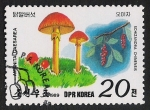 Sellos de Asia - Corea del norte -  SETAS-HONGOS: 1.205.042,00-Amanita caesarea