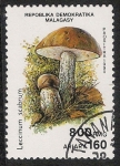 Sellos de Africa - Madagascar -  SETAS-HONGOS: 1.182.006,00-Leccinum scabrum