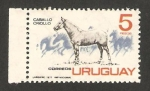 Stamps Uruguay -  Caballo criollo