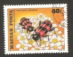 Stamps Hungary -  flores e insectos, achillea millefolium, trichodes apiarius