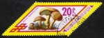 Sellos de Asia - Mongolia -  SETAS-HONGOS: 1.192.011,00-Boletus variegatus