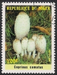 Stamps Africa - Niger -  SETAS-HONGOS: 1.202.003,00-Coprinus comatus