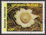 Stamps Africa - Niger -  SETAS-HONGOS: 1.202.005,00-Geastrum fimbriatum