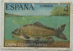 Sellos de Europa - Espa�a -  fauna hispanica-Carpa-1977