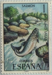 Stamps Spain -  fauna hispanica-salmon-1977