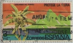 Stamps Spain -  Proteccion a la naturaleza-Edelweiss del pirineo-1978