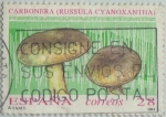 Stamps Spain -  Micología-carbonera-1993