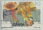 Stamps Spain -  Micología-cortinario canelo-1995