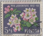 Sellos de Europa - Suiza -  pro juventud-1912-1962