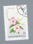 Stamps Hungary -  Flores