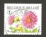 Stamps Belgium -  flor