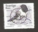 Stamps Sweden -  ave, pie baverde