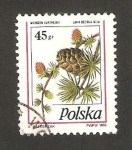 Sellos de Europa - Polonia -  planta, larix decidua miller