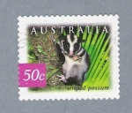 Sellos de Oceania - Australia -  Striped Possum