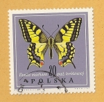 Sellos de Europa - Polonia -  Mariposa, Papilio machaon