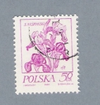 Sellos de Europa - Polonia -  Flor