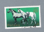 Sellos de Europa - Polonia -  Caballos