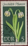 Stamps Germany -  