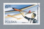 Sellos de Europa - Polonia -  Aviones