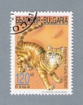 Sellos del Mundo : Europe : Bulgaria : Gato