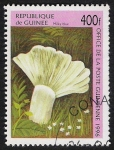 Sellos de Africa - Guinea -  SETAS-HONGOS: 1.160.044,00-Milky blue