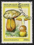 Sellos de Africa - Guinea -  SETAS-HONGOS: 1.160.032,02-Boletus rhodoxanthus -Phil.49331-Dm.995.86-Mch.1569-Sc.1332