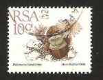 Stamps Africa - South Africa -   flora, didymaotus lapidiformis
