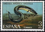 Sellos de Europa - Espa�a -  2405 Fauna Hispánica. Anguila.