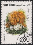 Sellos de Asia - Yemen -  SETAS:263.003  Gyromitra sculenta