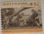 Stamps : Oceania : Australia :  Koala