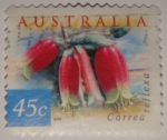 Stamps : Oceania : Australia :  Correa reflexa