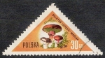 Sellos de Europa - Polonia -  SETAS-HONGOS: 1.211.002,01-Boletus luteus -Dm.959.9-Y&T.960-Mch.1094-Sc.843