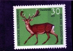 Stamps Germany -  R.F.A.