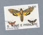 Sellos de Africa - Santo Tom y Principe -  Mariposas Acherontia Atropos